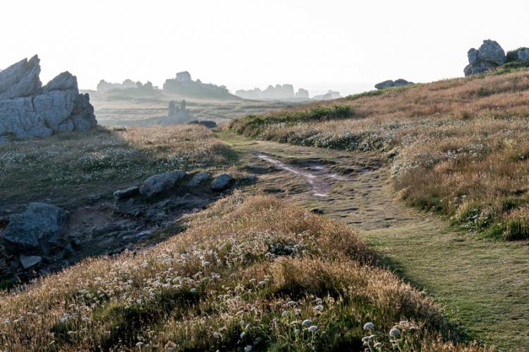 L'île des Landes se préserve  Bretagne.com